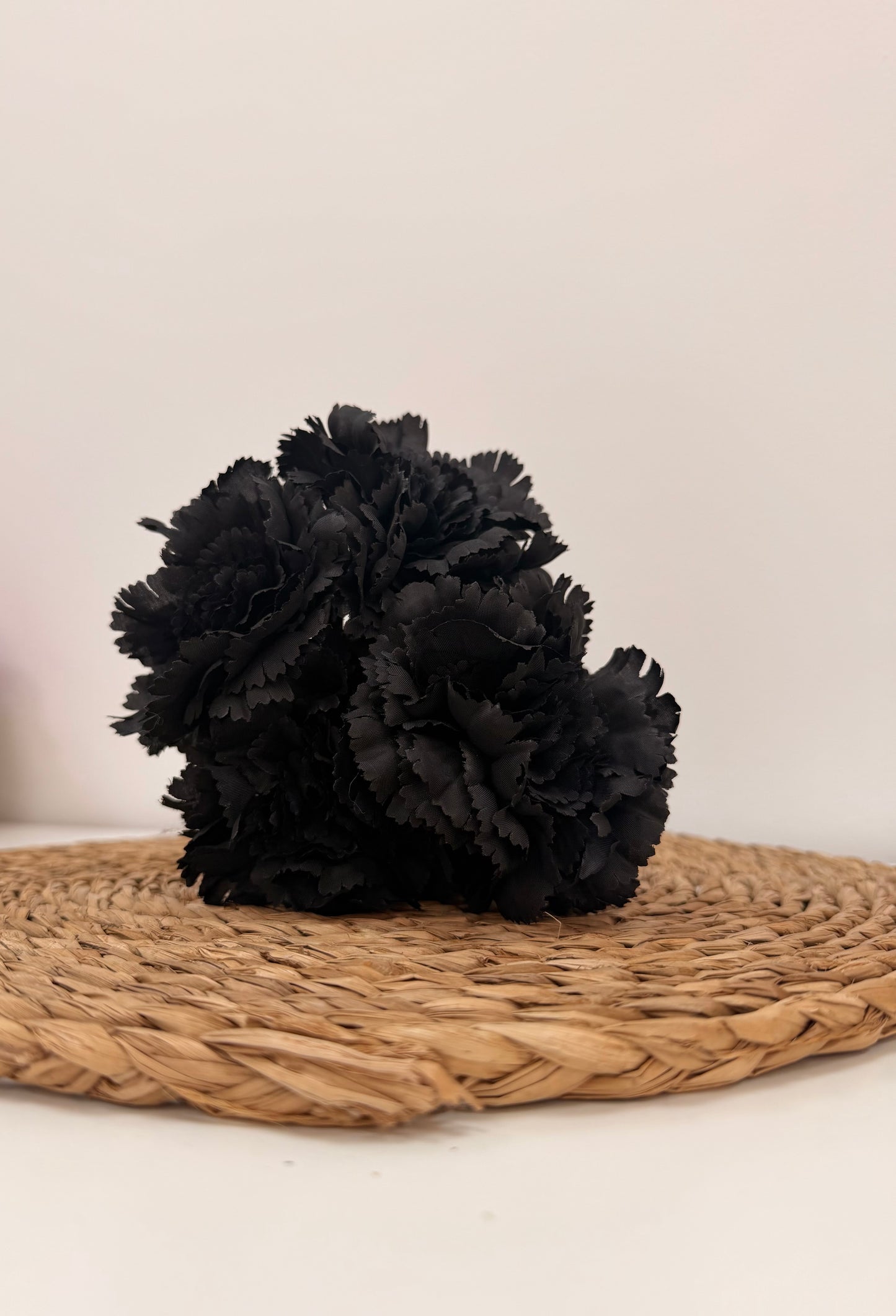 Clavel Negro