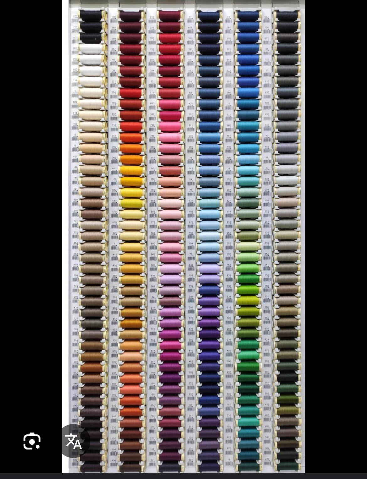 Primera Puesta Personalizada