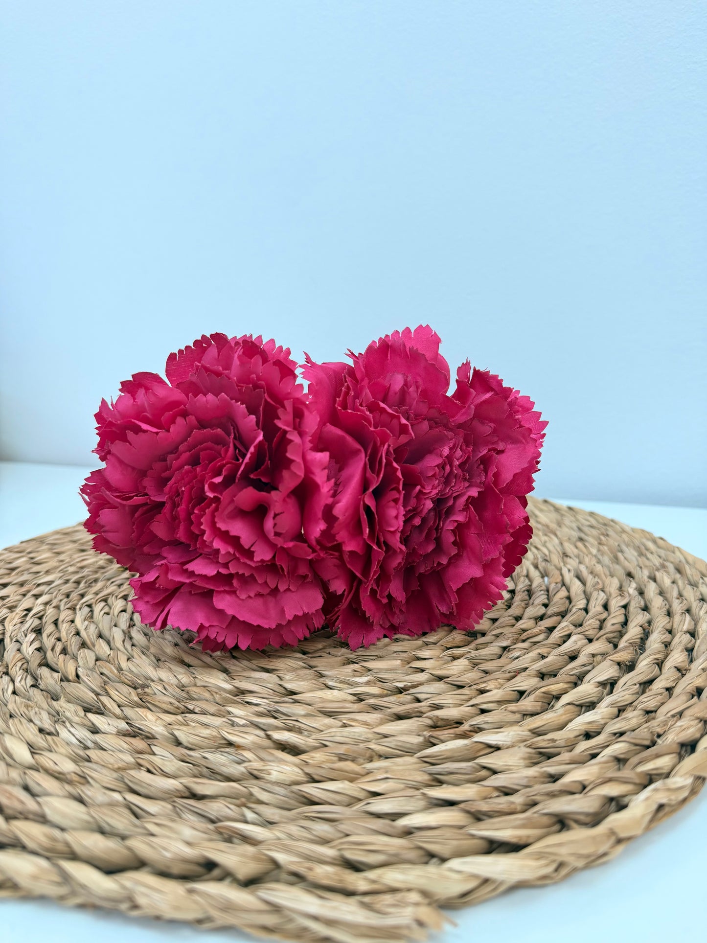 Clavel Buganvilla